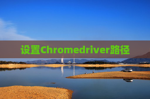 设置Chromedriver路径